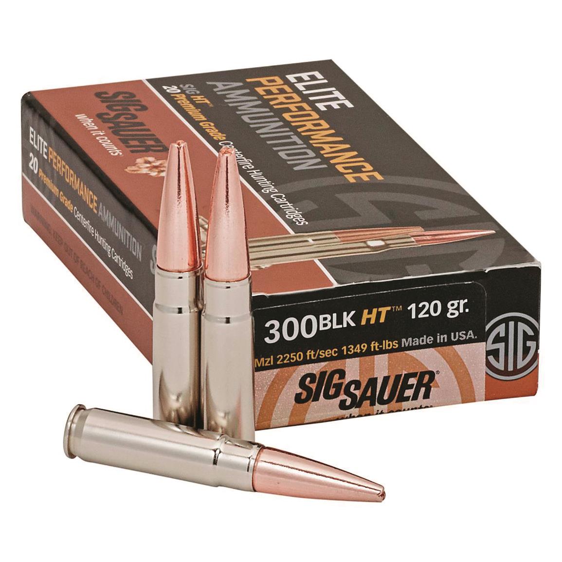 Sig 120 gn copper 300 BLK rounds